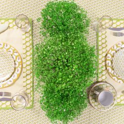 WASA-BEE DINNER PLATES