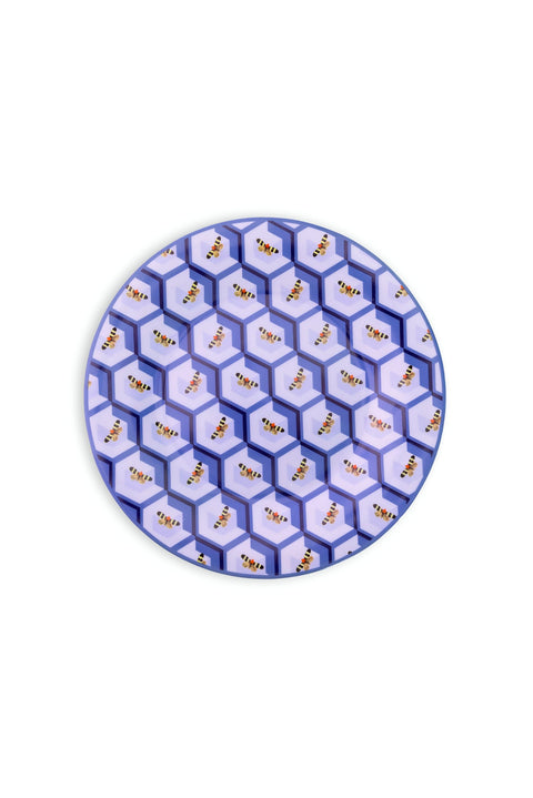 CRYBAYBEE DINNER PLATES